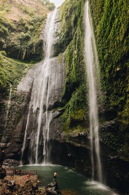 Madakaripura şelalelerinin güzel manzarası Java adasının en yüksek şelaleleri ve Endonezya 'nın en yüksek ikinci şelaleleri..