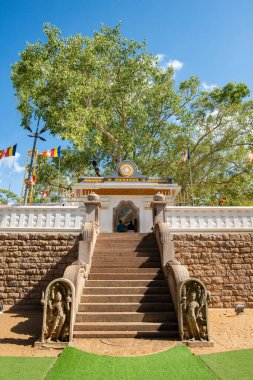 Sri Lanka halkı, Jaya Sri Maha Bodhi 'yi ziyaret ediyor. Antik Anuradhapura, Sri Lanka' da bilinen bir dikim tarihiyle dünyanın yaşayan en eski insan ağacı..