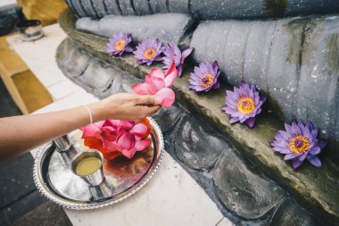 Budist insanların kesilmiş görüntüsü Buda heykellerine nilüfer çiçeği sunuyor. Buda 'ya güzel şeyler sunarak hayatlarına değer ve servet katacaklarına inanıyorlar..