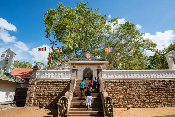 Srí Lanka Népei Meglátogatják Jaya Sri Maha Bodhi Világ Legrégebbi Jogdíjmentes Stock Fotók