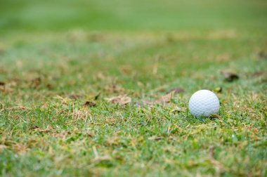 Golf sahasında bir golf topu. Yeşil, golf sahasında her deliği çevreleyen özel bir çimen alanıdır..