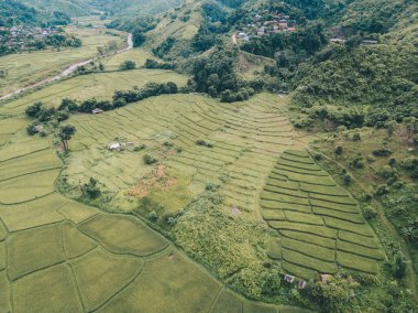 Sapan köyündeki çeltik tarlasının güzel hava manzarası. Tayland 'ın Nan eyaletindeki temiz hava ve el değmemiş nehirlerden oluşan ormanlık kuzey vadisinde yuva yapmış küçük bir köy..