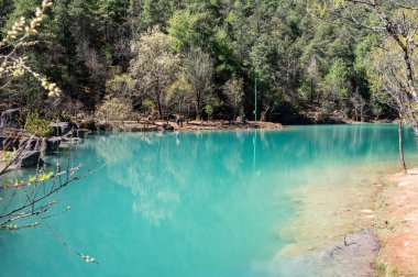 Baisuihe nehri Mavi Ay Vadisi 'nden akıyor. Çin' in Yunnan eyaletindeki Lijiang 'ın Yeşim Ejder Dağı Sahne Bölgesi' nde popüler bir nokta..