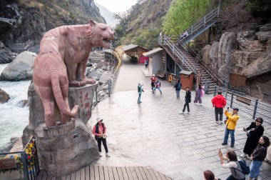 Yunnan, China : 21-03-2024 : Tourist visiting and take a photograph with Tiger statue an iconic landmark at Tiger Leaping Gorge in Yunnan province of China.  clipart