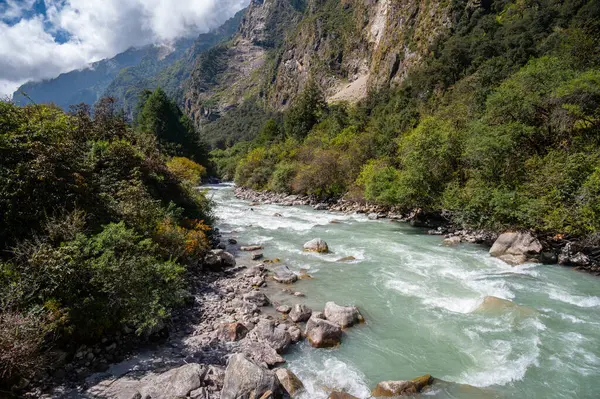 Langtang Khola nehri güneyden gelen bir nehir Langtang yolu boyunca akar, Nepal. 