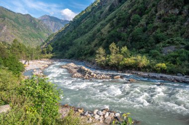 Langtang Khola nehrinin manzarası güneyden gelen bir nehir Langtang yolu boyunca akar, Nepal. 