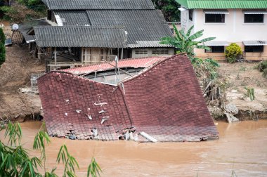 Tayfun Yagi, Tayland 'ın Chiang Rai bölgesini yok ettikten sonra Mae Yao bölgesindeki Karen köyündeki fil kampında yerel evler yok edildi..