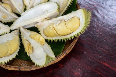 Ahşap tepside duran açık bir durian. Durian, Güneydoğu Asya 'ya özgü lezzetli bir tropikal meyvedir ve yaygın olarak Meyve Kralı olarak bilinir..