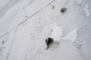 Gri beton duvardaki boyayı soyuyordum. Soyulma, çatlama ya da su toplayan boya yüzeyi ve boyası arasında yapışma kaybı olduğunda meydana gelir..