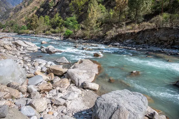 Langtang Khola nehrinin manzarası güneyden gelen bir nehir Langtang yürüyüş rotası boyunca akıyor, Nepal. 