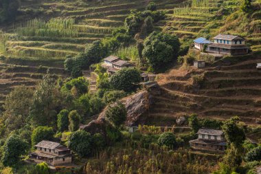 Ghandruk köyündeki yerel bir ev. Nepal kırsalındaki geleneksel bir Gurung köyü..