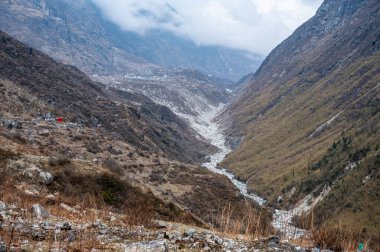 Nepal 'in Langtang Vadisi' ndeki manzara. Langtang Valley Trek, Nepal 'deki en mutlu ve kolay kısa yolculuklardan biridir..