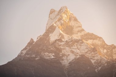 Mt.Machapuchare Dağı (Mt.fish tail) şafak vakti Nepal 'in Annapurna bölgesindeki kutsal dağ Mardi Himal perspektifinden görülüyor..
