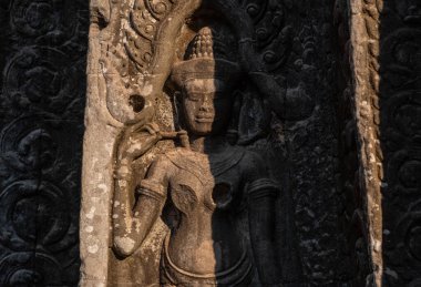 Ta Prohm tapınağında dekore edilen Apsara Bas-Relief Angkor 'un en iyi ziyaret edilen anıtlarından biridir. Apsara, Hindu ve Budist mitolojisinden bir kadın ruhudur..