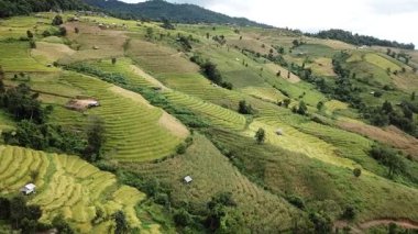 Tayland 'ın Chiang Mai eyaletindeki Ban Pa Pong Piang pirinç teraslarının hava manzarası. Ban Pa Pong Piang 'ın küçük köyü Doi Inthanon Ulusal Parkı' nın dağlarında kayboldu..