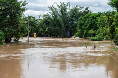 Kok Nehri 'nin taşması sonucu Chiang Rai' de bir çevre oluştu.