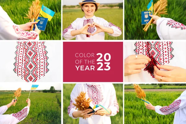 Defocus Viva Magenta 2023年 Pantone 乌克兰女人成熟的金色小穗的芬芳 展示乌克兰国旗 笑一个拿着护照的乌克兰人女孩注意力不集中 — 图库照片
