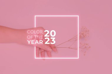 Defocus viva magenta. Yılın rengi 2023. Moda sanatçısı yaz zamanı kadın ve elinde çiçekler. Beyaz arka planda uzun tırnakları olan kadınların elleri. Kadın eli işte. Odaklanamıyorum.