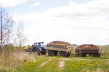 Hasat sırasında defocus traktörü. Römork tamamen kumla dolu. Mavi traktör, yan perspektif ve ön planda sakal var. Odaklanamıyorum.