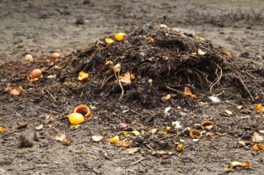 Compost bin. Defocus compost and composted soil cycle as a composting pile of rotting kitchen scraps with fruits and vegetable. Garbage waste turning into organic fertilizer earth. Out of focus.