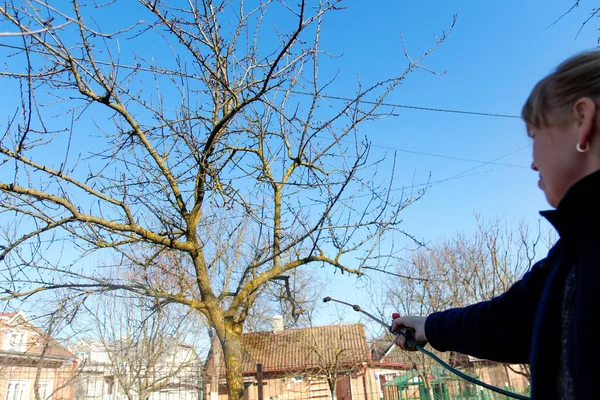 Sprey bahçesi. Pedikür ilaçlama, haşere kontrolü. Çiftçi kadın, bahar bahçesindeki böceklere elle böcek ilacı püskürtüyor. Tarım işleriyle uğraşıyorum. Kimyasal spreyleme. Odaklanamıyorum.