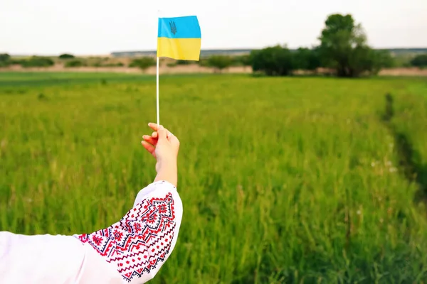 Ukraine flag hand. National symbol. Support and help Ukraine, Independence Constitution Day, National holiday. Hand holding flag. Nature background. Freedom. Out of focus.