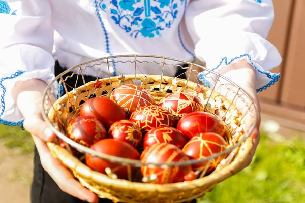 乌克兰女孩拿着一篮子五颜六色的红色鸡蛋在大自然的绿草背景上 复活节假期的概念 手工彩绘的蛋 阳光灿烂的日子 皮桑卡或克拉珊卡的采集 注意力不集中 — 图库照片