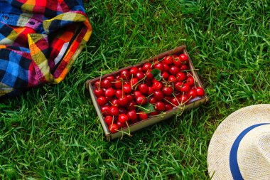 Tatlı kirazlar. Kiraz kutusunun üst görüntüsü, yeşil arka planda kırpılmış şapka ve gömlek. Meyveler ve meyveler. Hasat ve hasat konsepti. Organik, eko çiftliği. Yaz düzlüğü. Odaklanamıyorum.
