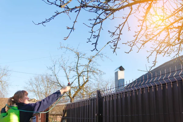 stock image Sprayer woman. Fumigating pesti, pest control. Farmer woman spraying tree with manual pesticide sprayer against insects in spring garden. Agriculture and gardening. Chemical spraying. Out of focus.