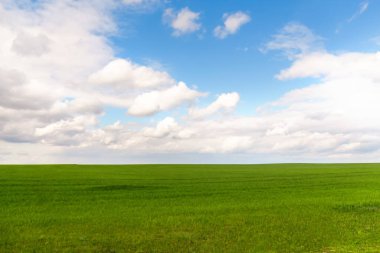 Küçük beyaz bulutlar ve yeşil çayır ile mavi gökyüzü arkaplanı. Bulutlu panorama mavi gökyüzü arkaplanı. Yeşil alan ve açık bulutlu mavi gökyüzü. Pencere kağıtları. Odaklanamıyorum.