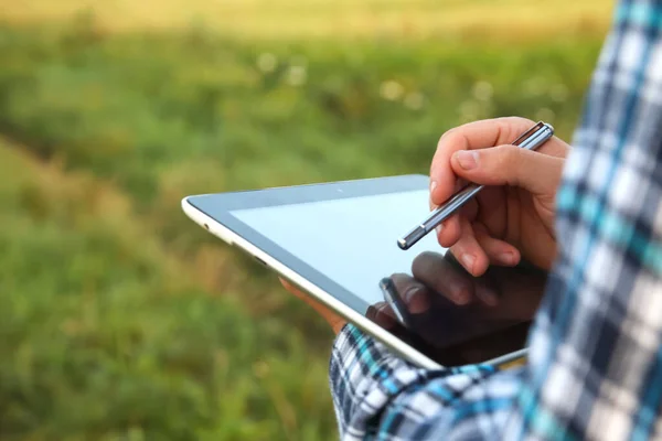 Tablet screen and stylus. An agronomist farmer man is seen using a digital tablet computer amidst a young cornfield during the serene hours of sunrise or sunset. Close up hands.