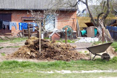 Yığınla humus. Bozulmuş gübre ve sıkıştırılmış toprak döngüsü meyve ve sebzelerle birlikte çürüyen mutfak artıkları olarak görülür. Çöp atıkları organik gübre toprağına dönüşüyor. Odaklanamıyorum.