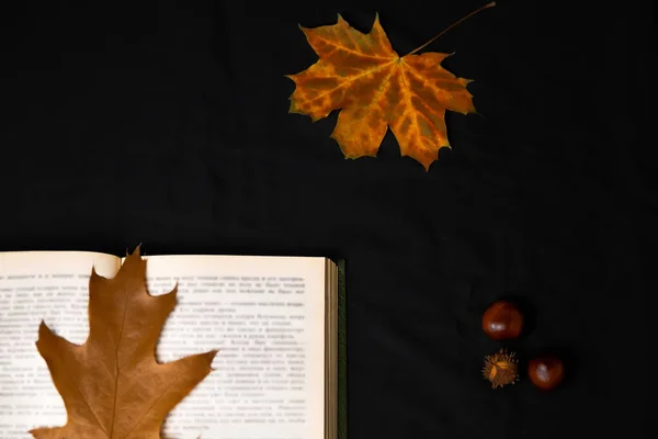Autumn Flatlay Open Book Adorned Vibrant Yellow Leaves Creating Striking — Stock Photo, Image