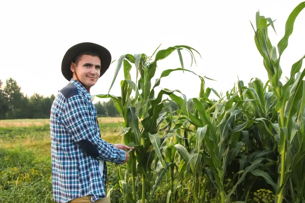 トウモロコシ畑の農家 トウモロコシ畑に立って作物を調べる若い農家の肖像画 二十代カウボーイ — ストック写真