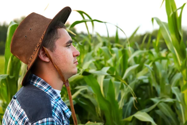 Fiatalember Áll Zöld Kukorica Háttérben Másold Helyet Oldalnézetben Egy Fiatal — Stock Fotó