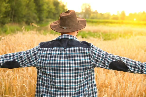 stock image Back view of the cowboy. Back view of a young man wearing a cowboy hat. Yellow wheat plant. Adventure western concept. Sunny farming. Hands to the sides.