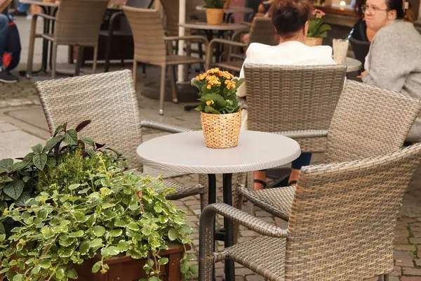 Rattan furniture. Outdoor empty coffee and restaurant terrace with potted plants tables and chairs in indie and hipster style. Cozy outdoor cafe in Gdansk, Poland.