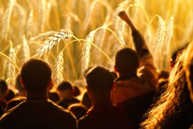 Çiftçiler konsepti protesto ediyor. Buğday arka planında bir sürü insan. Avrupa ve dünyada çiftçilerin protestoları.