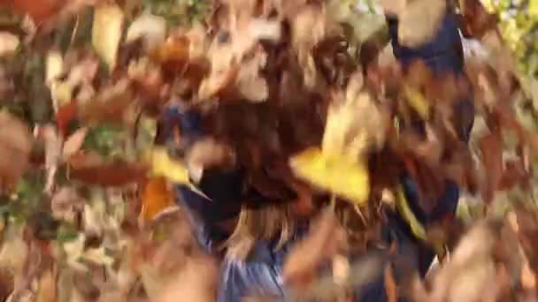 Девушка Радостью Бросает Осенние Листья Воздух Фоне Золотой Листвы Захватывая — стоковое видео