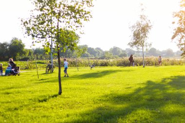 Park, bahar ve yaz mevsimlerinde insanların geçmişi bulanıktı. İnsanların yürüdüğü bulanık bir park geçmişi var. Yeşil arka planı olan doğa parkı, bulanık.