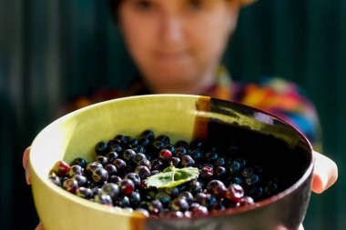 Elinde bir kase taze yaban mersini, elinde bir kase yaban mersini tutarken. Sağlık ve Sağlık.
