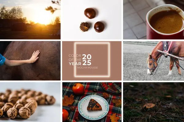 2025 yılının rengi. Mocha mousse rengi. Birçok fotoğrafçılığın çerçevesi. Sınır. Uzayı kopyala Pantone Enstitüsü konsepti. Tasarım şablonu.