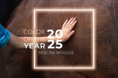 A hand gently resting on a horse, with a warm, soothing color palette inspired by Pantone 2025 color Mocha Mousse, a soft brown and chocolate hue. clipart