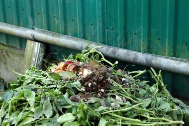 Green compost pile with organic waste, showing the biodegradable decompose process for plant nourishment and soil enrichment, including properly managed dog shit.