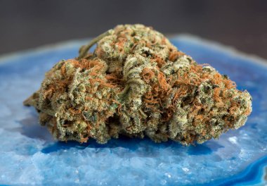 Blue Agate 'de marihuana makrosunu kapat.