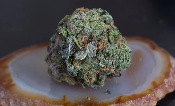 Esrarın tıbbi marihuana, tedavi edici ve tıbbi özellikleri