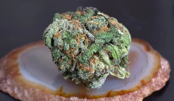 Esrar kahverengi bir taşın üzerine kapanıyor.