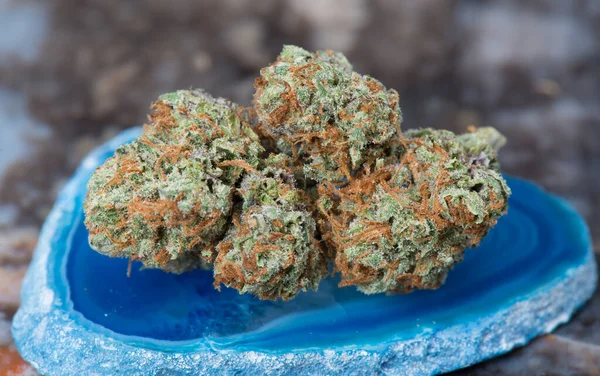 Komplo Kush Tıbbi Marihuana mavi agate üzerine