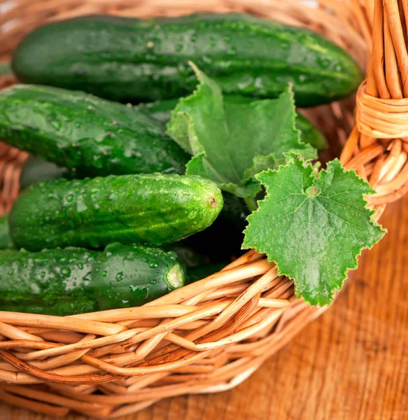 Verse Komkommers Met Groene Bladeren Hout — Stockfoto