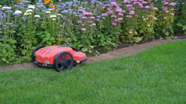 緑の芝生の背景に芝生のロボット芝刈り機 現代の庭で自動ロボット芝刈り機 芝生の芝刈り機で緑の芝生のトリミング — ストック動画